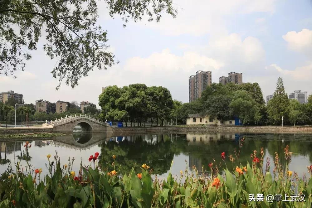 武汉三镇一线队全力备战夏日战役，蓄势待发迎接挑战